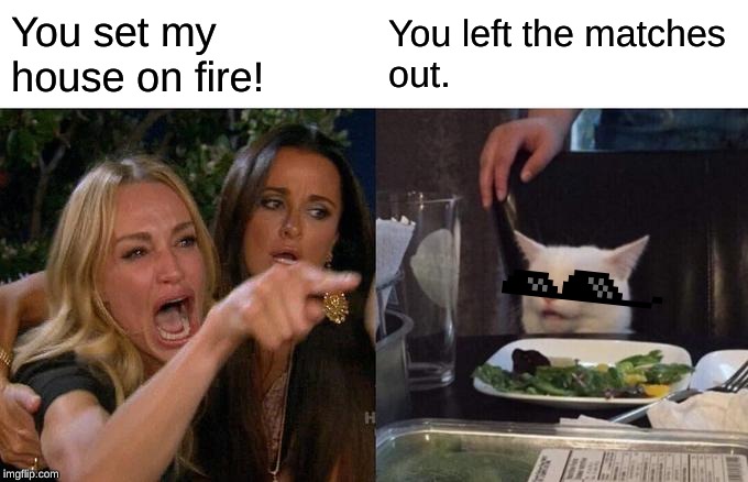 Woman Yelling At Cat Meme | You set my 
house on fire! You left the matches
out. | image tagged in memes,woman yelling at cat | made w/ Imgflip meme maker