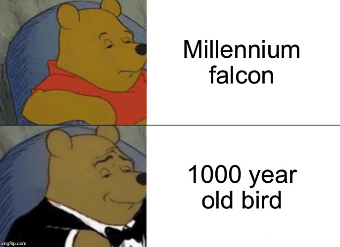 Tuxedo Winnie The Pooh Meme | Millennium falcon; 1000 year old bird | image tagged in memes,tuxedo winnie the pooh,millennium falcon,funny | made w/ Imgflip meme maker