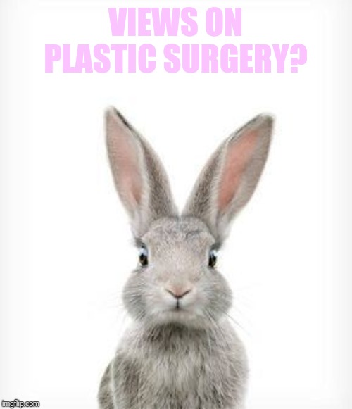 For solely cosmetic reasons....... | VIEWS ON PLASTIC SURGERY? | image tagged in plastic surgery,plastic surgery for plastic people,not for me | made w/ Imgflip meme maker