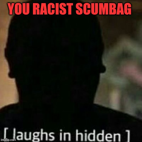 laughs in hidden | YOU RACIST SCUMBAG | image tagged in laughs in hidden | made w/ Imgflip meme maker