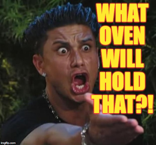 DJ Pauly D Meme | WHAT OVEN WILL HOLD THAT?! | image tagged in memes,dj pauly d | made w/ Imgflip meme maker