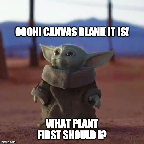 Baby Yoda | OOOH! CANVAS BLANK IT IS! WHAT PLANT FIRST SHOULD I? | image tagged in baby yoda | made w/ Imgflip meme maker