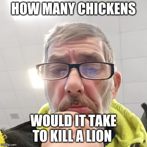 Pondering Bert | HOW MANY CHICKENS; WOULD IT TAKE TO KILL A LION | image tagged in pondering bert | made w/ Imgflip meme maker