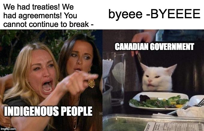 Woman Yelling At Cat Meme | We had treaties! We had agreements! You cannot continue to break -; byeee -BYEEEE; CANADIAN GOVERNMENT; INDIGENOUS PEOPLE | image tagged in memes,woman yelling at cat | made w/ Imgflip meme maker