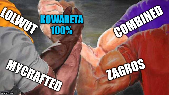 Four arm handshake | COMBINED; KOWARETA 100%; LOLWUT; ZAGROS; MYCRAFTED | image tagged in four arm handshake | made w/ Imgflip meme maker