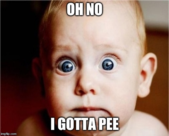 oh no!! | OH NO; I GOTTA PEE | image tagged in funny memes | made w/ Imgflip meme maker