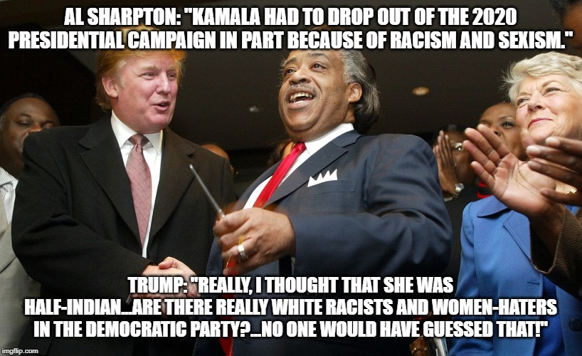 politics | AL SHARPTON: "KAMALA HAD TO DROP OUT OF THE 2020 PRESIDENTIAL CAMPAIGN IN PART BECAUSE OF RACISM AND SEXISM."; TRUMP: "REALLY, I THOUGHT THAT SHE WAS HALF-INDIAN...ARE THERE REALLY WHITE RACISTS AND WOMEN-HATERS IN THE DEMOCRATIC PARTY?...NO ONE WOULD HAVE GUESSED THAT!" | image tagged in political meme | made w/ Imgflip meme maker