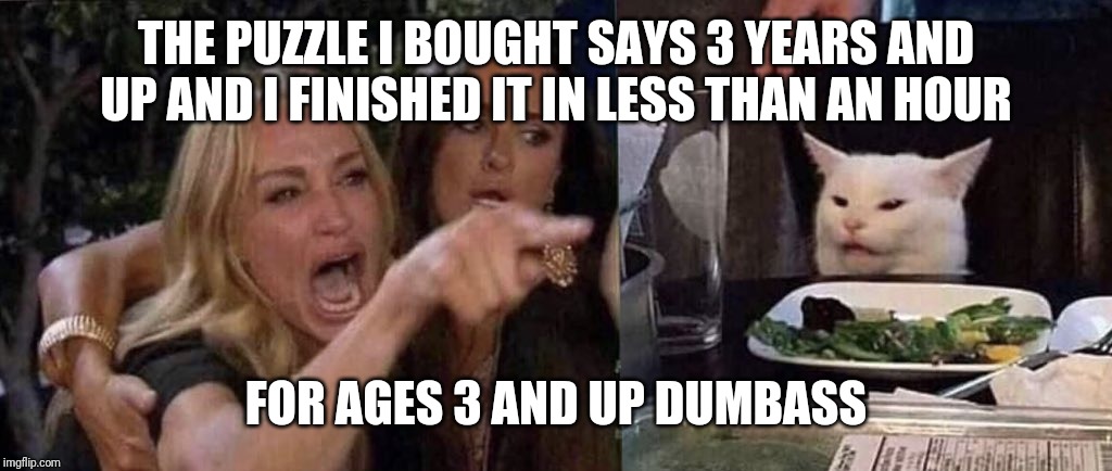 woman yelling at cat | THE PUZZLE I BOUGHT SAYS 3 YEARS AND UP AND I FINISHED IT IN LESS THAN AN HOUR; FOR AGES 3 AND UP DUMBASS | image tagged in woman yelling at cat | made w/ Imgflip meme maker