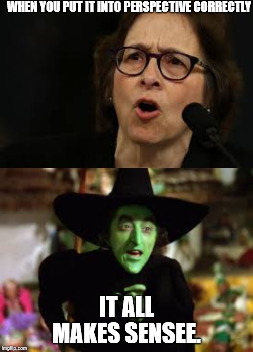 Dems unleash the witch | WHEN YOU PUT IT INTO PERSPECTIVE CORRECTLY; IT ALL MAKES SENSEE. | image tagged in wicked witch | made w/ Imgflip meme maker