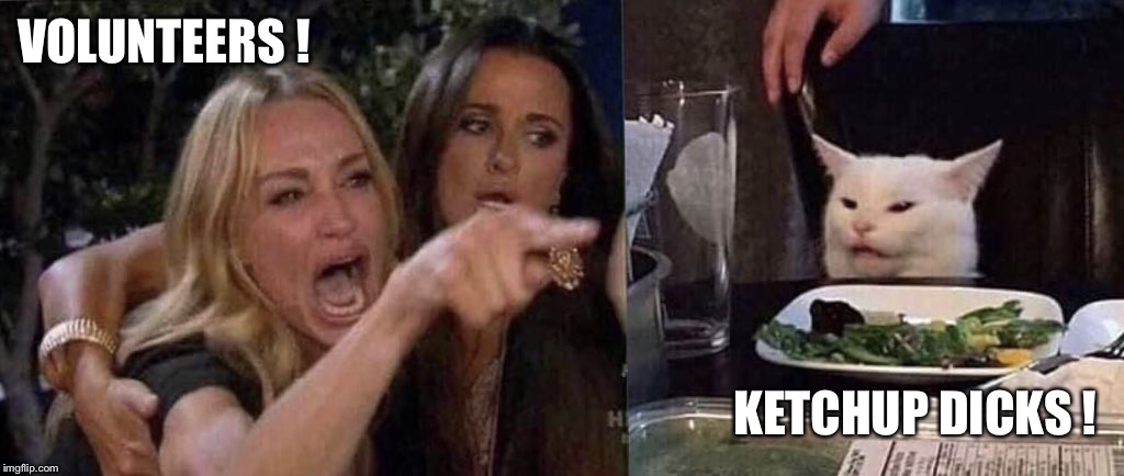 woman yelling at cat | VOLUNTEERS ! KETCHUP DICKS ! | image tagged in woman yelling at cat | made w/ Imgflip meme maker
