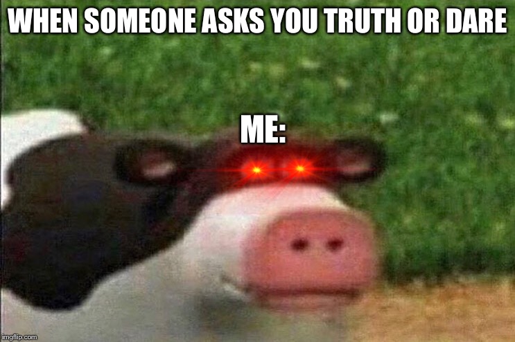Truth or dare | WHEN SOMEONE ASKS YOU TRUTH OR DARE; ME: | image tagged in cow,memes,funny memes,red eyes | made w/ Imgflip meme maker