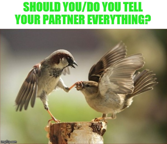 As important as honesty is in a relationship, I believe that some things are no ones business. Opinions? | SHOULD YOU/DO YOU TELL YOUR PARTNER EVERYTHING? | image tagged in please be quiet,secrets,but that's none of your business | made w/ Imgflip meme maker