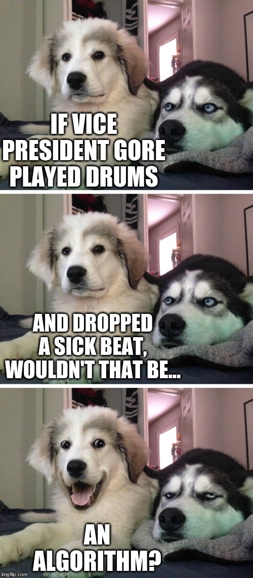 Bad pun dogs | IF VICE PRESIDENT GORE PLAYED DRUMS; AND DROPPED A SICK BEAT, WOULDN'T THAT BE... AN ALGORITHM? | image tagged in bad pun dogs | made w/ Imgflip meme maker