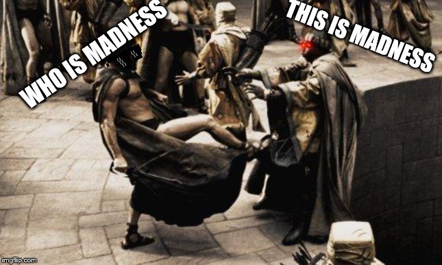 Sparta Kick | WHO IS MADNESS; THIS IS MADNESS | image tagged in sparta kick | made w/ Imgflip meme maker