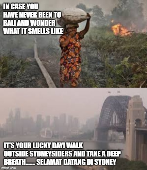 Sydney Pollution | IN CASE YOU HAVE NEVER BEEN TO BALI AND WONDER WHAT IT SMELLS LIKE; IT'S YOUR LUCKY DAY! WALK OUTSIDE SYDNEYSIDERS AND TAKE A DEEP BREATH....... SELAMAT DATANG DI SYDNEY | image tagged in pollution | made w/ Imgflip meme maker