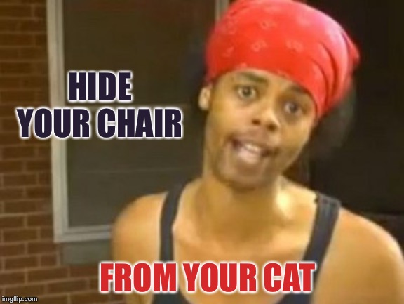 Hide Yo Kids Hide Yo Wife Meme | HIDE YOUR CHAIR FROM YOUR CAT | image tagged in memes,hide yo kids hide yo wife | made w/ Imgflip meme maker