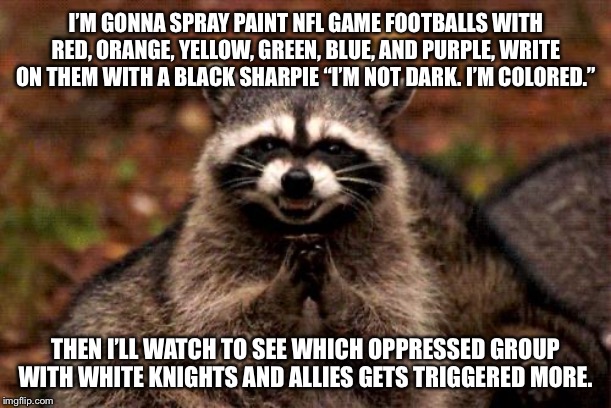 Now a football is a trigger point | I’M GONNA SPRAY PAINT NFL GAME FOOTBALLS WITH RED, ORANGE, YELLOW, GREEN, BLUE, AND PURPLE, WRITE ON THEM WITH A BLACK SHARPIE “I’M NOT DARK. I’M COLORED.”; THEN I’LL WATCH TO SEE WHICH OPPRESSED GROUP WITH WHITE KNIGHTS AND ALLIES GETS TRIGGERED MORE. | image tagged in memes,evil plotting raccoon,nfl football,color,lgbt,triggered | made w/ Imgflip meme maker
