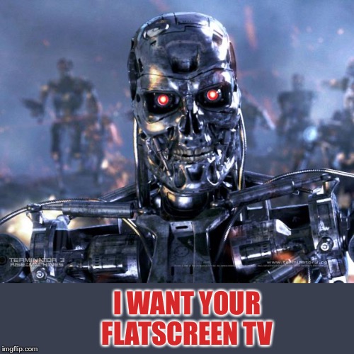 Terminator Robot T-800 | I WANT YOUR FLATSCREEN TV | image tagged in terminator robot t-800 | made w/ Imgflip meme maker