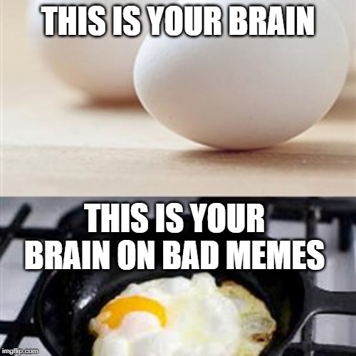 Brain, Brain on Drugs (egg) | THIS IS YOUR BRAIN; THIS IS YOUR BRAIN ON BAD MEMES | image tagged in brain brain on drugs egg | made w/ Imgflip meme maker