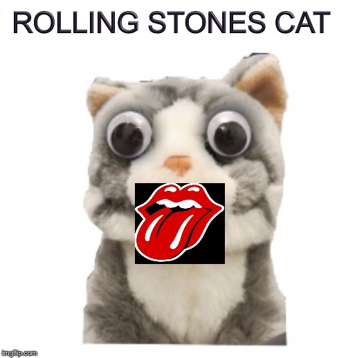 ROLLING STONES CAT | made w/ Imgflip meme maker