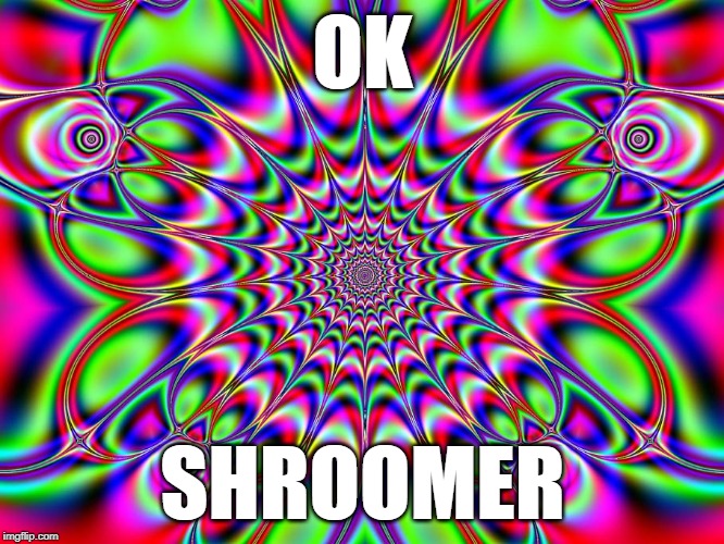  OK; SHROOMER | image tagged in ok shroomer | made w/ Imgflip meme maker