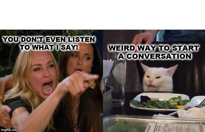 Woman Yelling At Cat | YOU DON'T EVEN LISTEN 
        TO WHAT I SAY! WEIRD WAY TO START 
    A CONVERSATION | image tagged in memes,woman yelling at cat | made w/ Imgflip meme maker