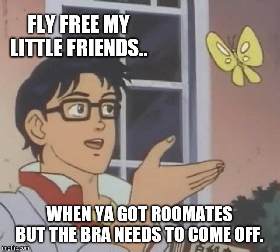 Is This A Pigeon Meme | FLY FREE MY LITTLE FRIENDS.. WHEN YA GOT ROOMATES BUT THE BRA NEEDS TO COME OFF. | image tagged in memes,is this a pigeon | made w/ Imgflip meme maker