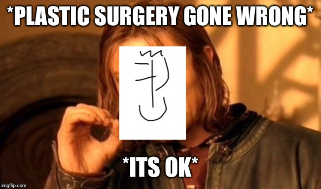 One Does Not Simply | *PLASTIC SURGERY GONE WRONG*; *ITS OK* | image tagged in memes,one does not simply | made w/ Imgflip meme maker