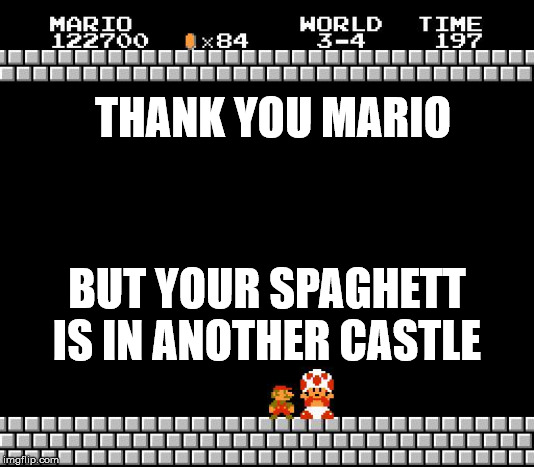 Thank You Mario | THANK YOU MARIO; BUT YOUR SPAGHETT IS IN ANOTHER CASTLE | image tagged in thank you mario | made w/ Imgflip meme maker