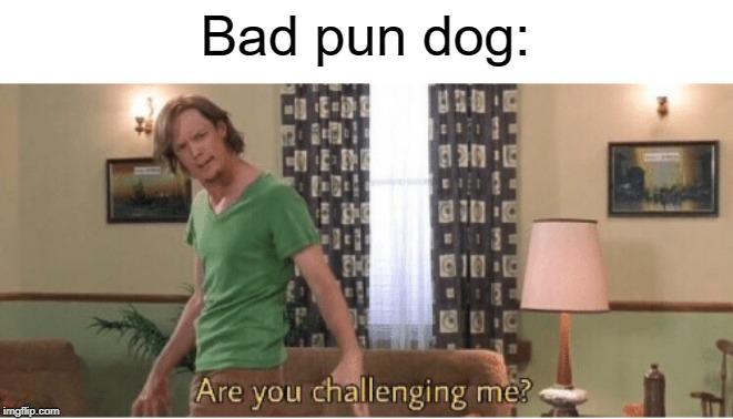 are you challenging me | Bad pun dog: | image tagged in are you challenging me | made w/ Imgflip meme maker