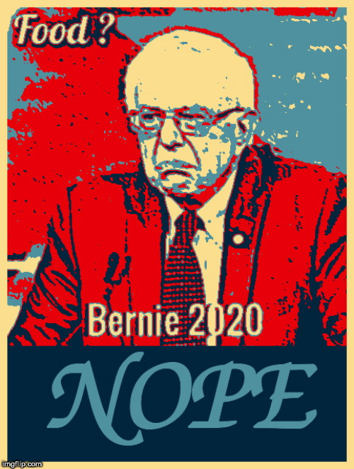 Bernie 2020 | image tagged in bernie 2020,bernie sanders,lol,political meme,loser,socialism | made w/ Imgflip meme maker