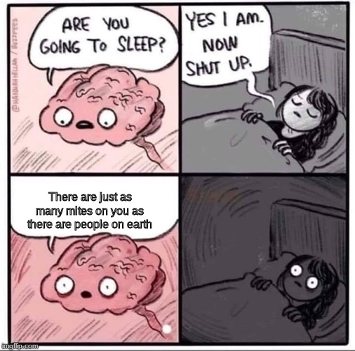 insomnia brain can't sleep blank | There are just as many mites on you as there are people on earth | image tagged in insomnia brain can't sleep blank | made w/ Imgflip meme maker
