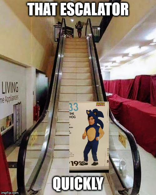 Fake Escalater  |  THAT ESCALATOR; QUICKLY | image tagged in fake escalater,funny,sanic,well that escalated quickly | made w/ Imgflip meme maker