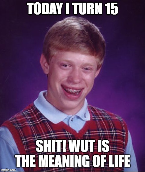 Bad Luck Brian Meme | TODAY I TURN 15; SHIT! WUT IS THE MEANING OF LIFE | image tagged in memes,bad luck brian | made w/ Imgflip meme maker