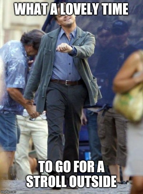 Dicaprio walking | WHAT A LOVELY TIME; TO GO FOR A STROLL OUTSIDE | image tagged in dicaprio walking | made w/ Imgflip meme maker