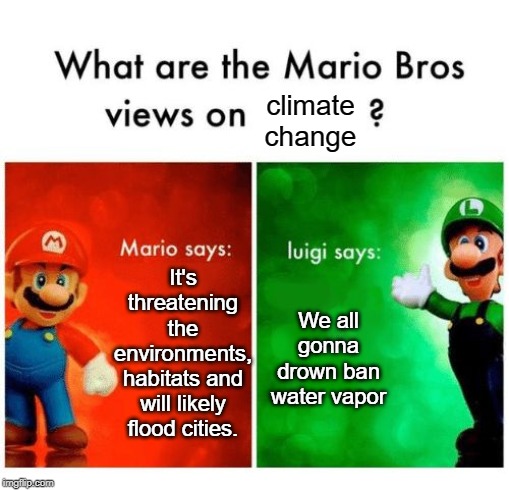 They're both right | climate change; It's threatening the environments, habitats and will likely flood cities. We all gonna drown ban water vapor | image tagged in mario vs luigi,climate change,mario bros views,funny,memes,water | made w/ Imgflip meme maker