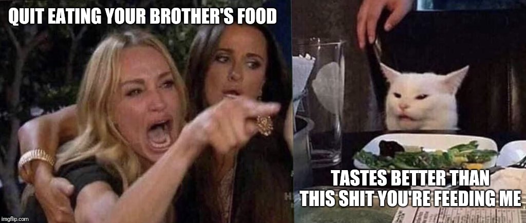 woman yelling at cat | QUIT EATING YOUR BROTHER'S FOOD; TASTES BETTER THAN THIS SHIT YOU'RE FEEDING ME | image tagged in woman yelling at cat,white cat table | made w/ Imgflip meme maker