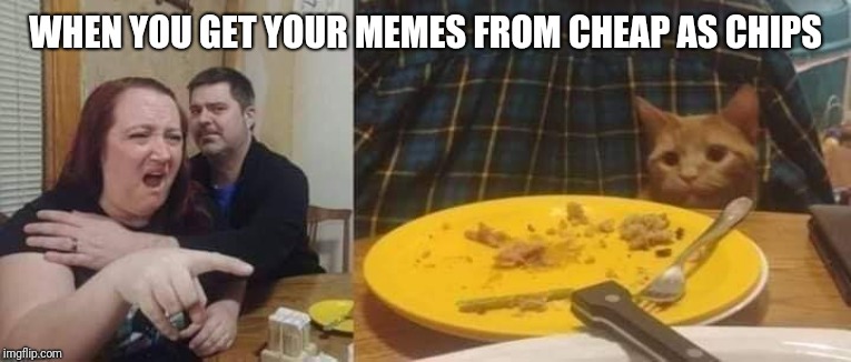 Two for one is a good deal | WHEN YOU GET YOUR MEMES FROM CHEAP AS CHIPS | image tagged in memes,cats,funny memes,cheap,close enough,cheap as chips | made w/ Imgflip meme maker