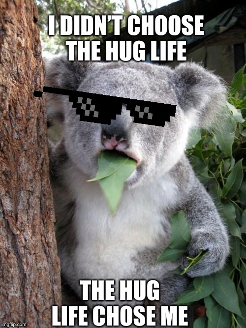 Surprised Koala Meme | I DIDN’T CHOOSE THE HUG LIFE; THE HUG LIFE CHOSE ME | image tagged in memes,surprised koala | made w/ Imgflip meme maker