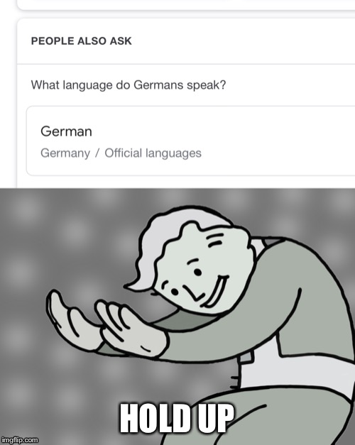 Germans speak German, Americans speak American | HOLD UP | image tagged in hol up,hold up,funny memes,german | made w/ Imgflip meme maker