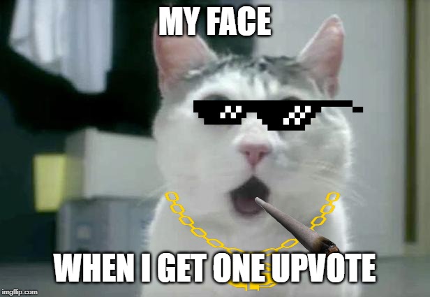 OMG Cat | MY FACE; WHEN I GET ONE UPVOTE | image tagged in memes,omg cat | made w/ Imgflip meme maker