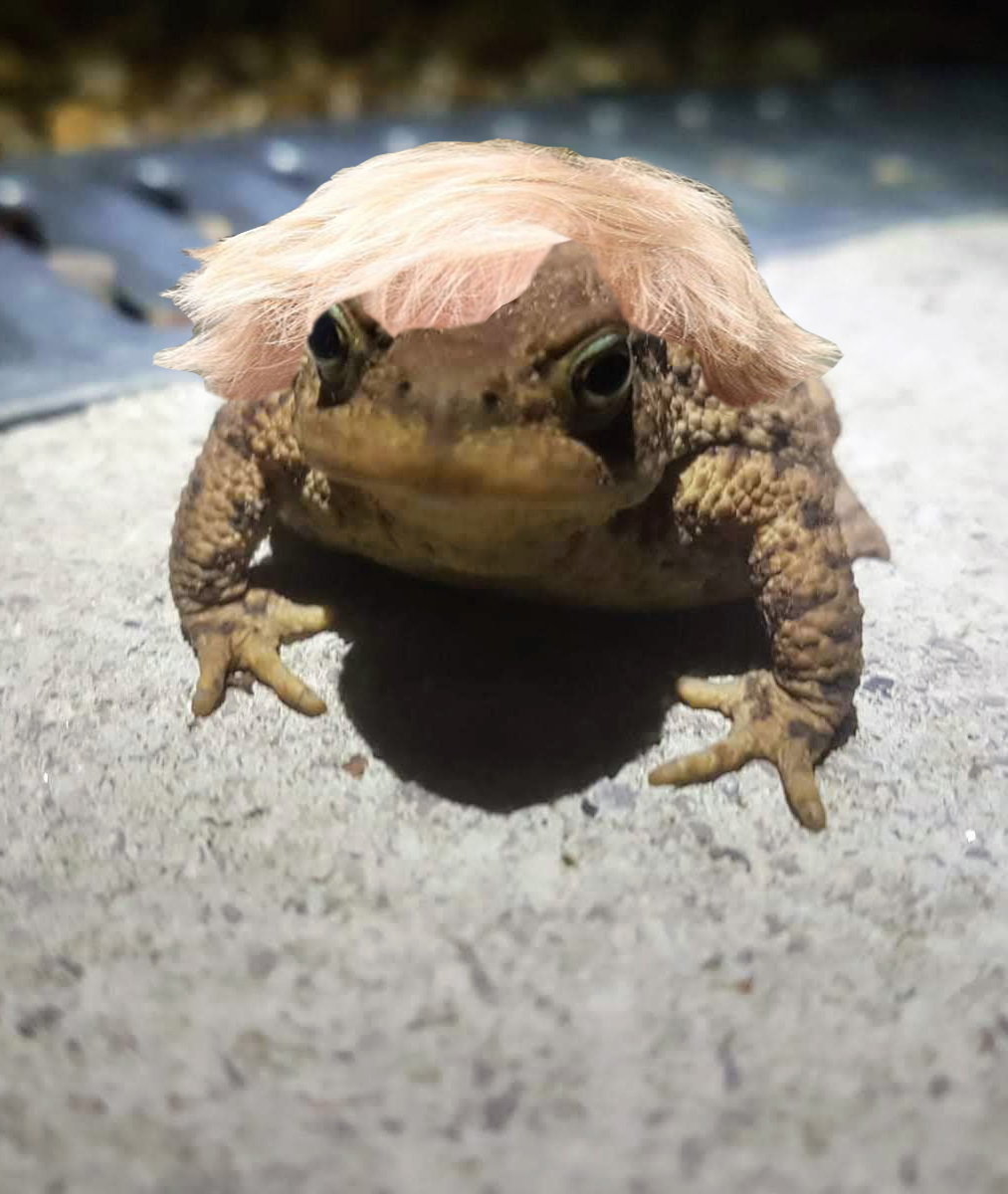 Boris Johnson Toad Blank Meme Template