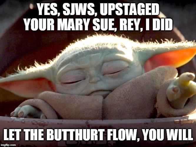 Baby Yoda uses the force | YES, SJWS, UPSTAGED YOUR MARY SUE, REY, I DID; LET THE BUTTHURT FLOW, YOU WILL | image tagged in baby yoda uses the force | made w/ Imgflip meme maker