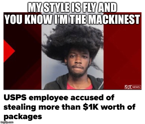 Great hair! | MY STYLE IS FLY AND YOU KNOW I’M THE MACKINEST | image tagged in funny memes | made w/ Imgflip meme maker