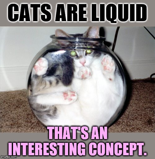 CATS ARE LIQUID THAT'S AN INTERESTING CONCEPT. | made w/ Imgflip meme maker