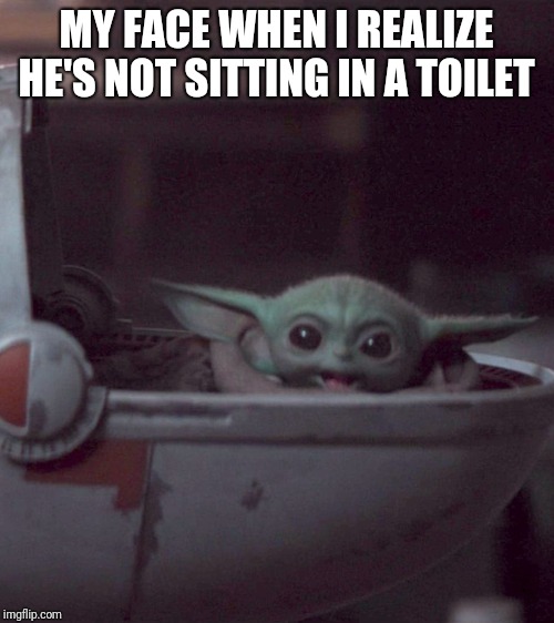 Woman screaming at Baby Yoda | MY FACE WHEN I REALIZE HE'S NOT SITTING IN A TOILET | image tagged in woman screaming at baby yoda | made w/ Imgflip meme maker
