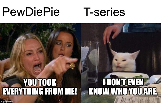 Woman Yelling At Cat | PewDiePie; T-series; YOU TOOK EVERYTHING FROM ME! I DON’T EVEN KNOW WHO YOU ARE. | image tagged in memes,woman yelling at cat | made w/ Imgflip meme maker