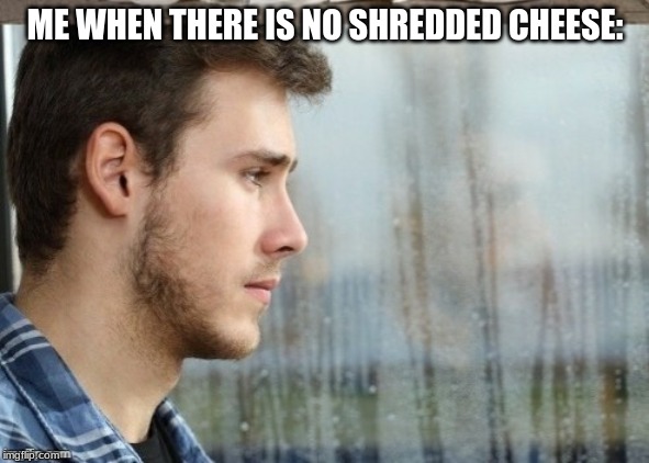 sad boi | ME WHEN THERE IS NO SHREDDED CHEESE: | image tagged in funny | made w/ Imgflip meme maker