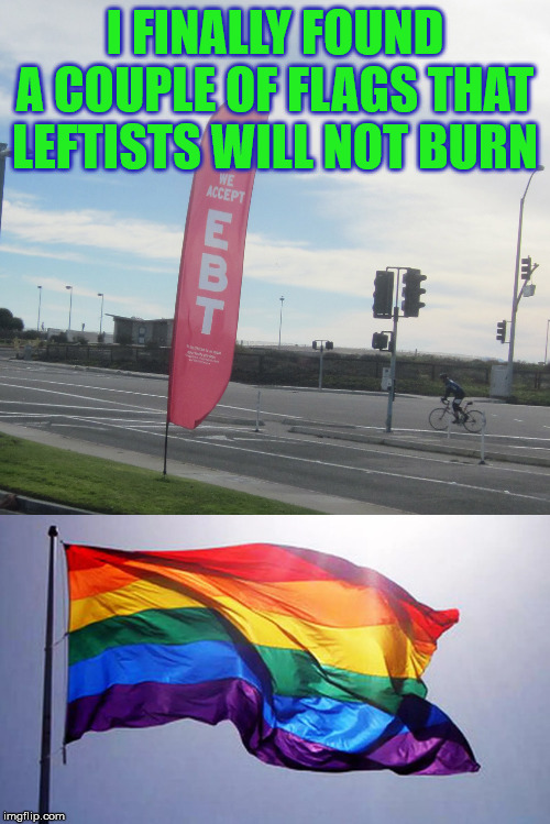 Any other flags? |  I FINALLY FOUND A COUPLE OF FLAGS THAT LEFTISTS WILL NOT BURN | image tagged in flags,burning | made w/ Imgflip meme maker