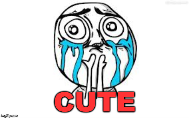 Crying Because Of Cute Meme | CUTE | image tagged in memes,crying because of cute | made w/ Imgflip meme maker